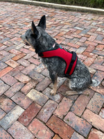 ARNES CRUZ LÍNEA SOFT