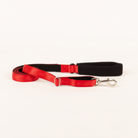 CORREA DE EXTENCION A 2 METROS