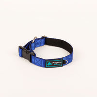 COLLAR RAZAS MEDIANAS Y GRANDES 2.5 cms