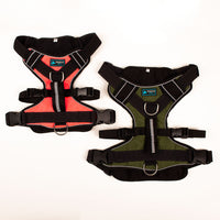 ARNES EXTREME LÍNEA STRONG