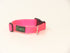 COLLAR RAZAS PEQUEÑAS SENCILLOS 2 cms
