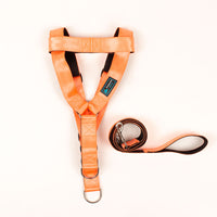 PECHERA CON CORREA 4 CMS SEGURIDAD