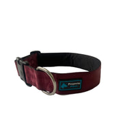 COLLAR RAZAS GIGANTES