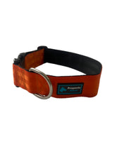 COLLAR RAZAS GIGANTES