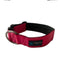 COLLAR RAZAS GIGANTES