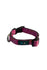COLLAR RAZAS PEQUEÑAS Y MEDIANAS 2 cms