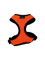 ARNES CONFORT LINEA SOFT