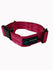 COLLAR RAZAS GRANDES 4 cms