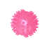 PELOTA SPIN