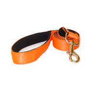 CORREA 2.5 cms DE ANCHO